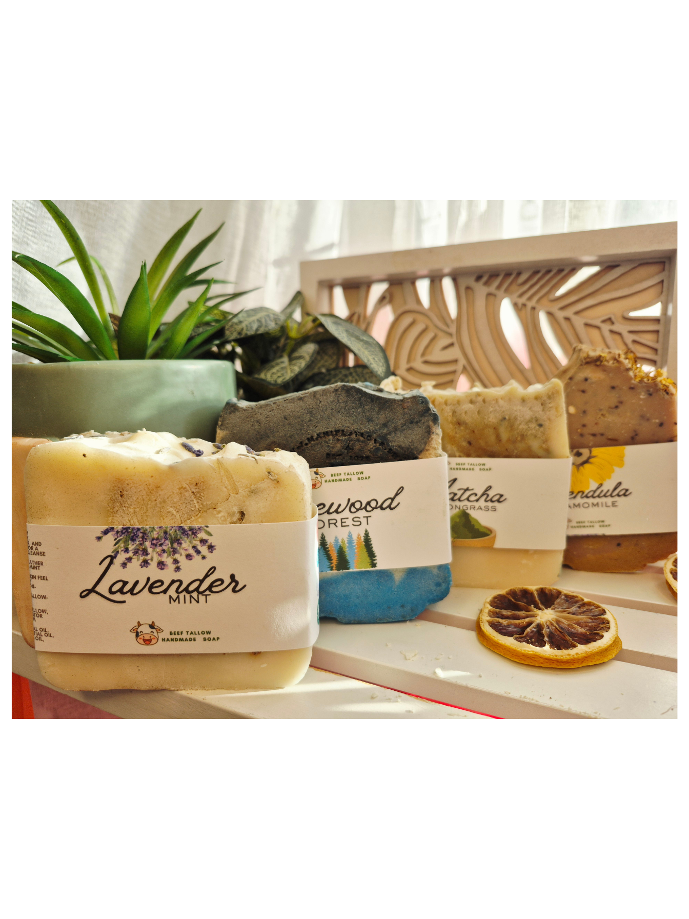 MATCHA LEMONGRASS TALLOW SOAP