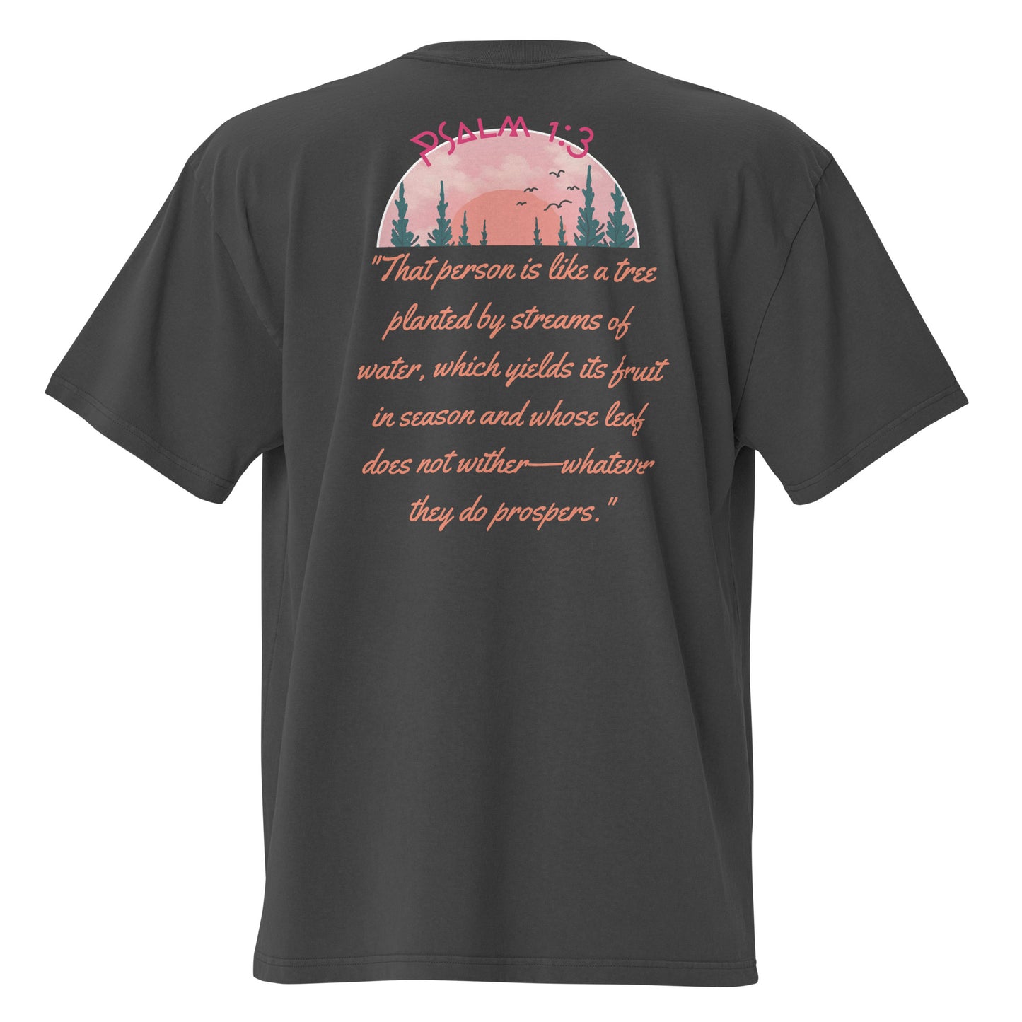 Prosperous Faith, Psalms 1:3, Oversized faded t-shirt