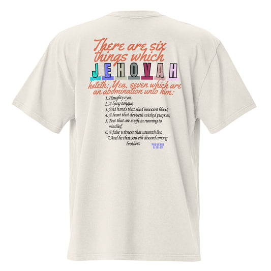 Seven Things Jehovah Hates, Oversized faded t-shirt