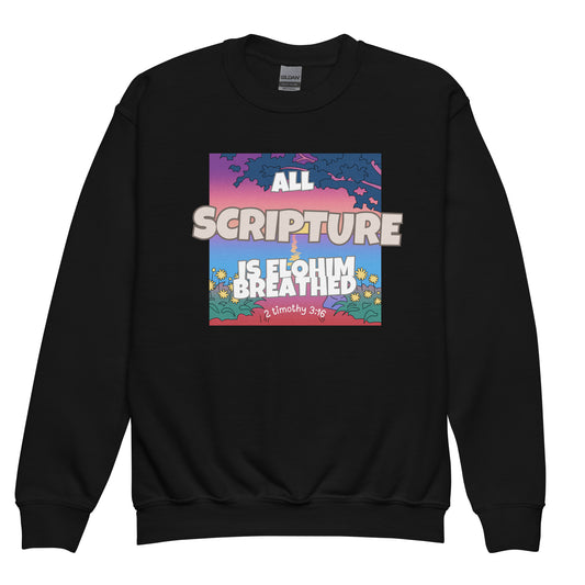 All Scripture is given by inspiration of Elohim, 2 Timothy 3:16, Youth crewneck sweatshirt