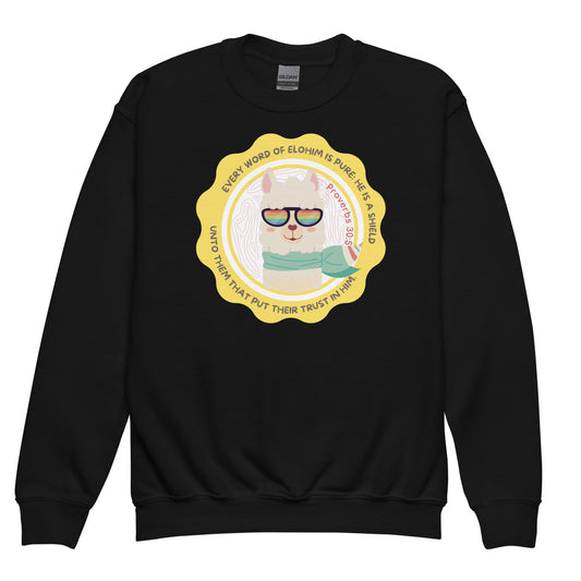 Every word of Elohim is pure: he is a shield unto them that put their trust in him", Proverbs 30:5,Youth crewneck sweatshirt