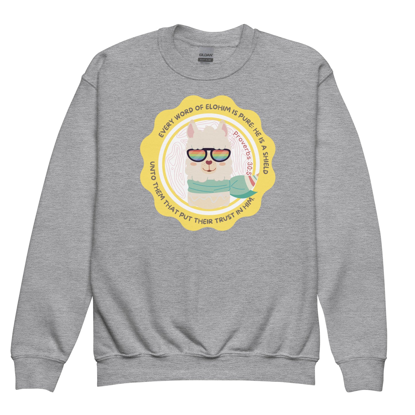 Every word of Elohim is pure: he is a shield unto them that put their trust in him", Proverbs 30:5,Youth crewneck sweatshirt